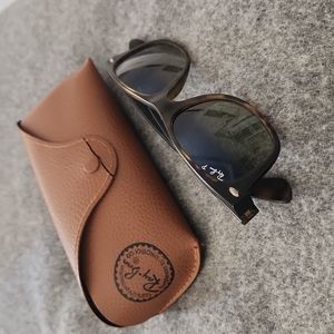 RayBan Frosted Wayfarer